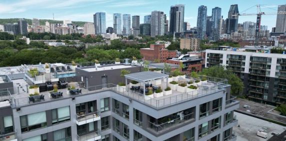 4 1/2 - Montréal (Griffintown) - 2 930 $/mois - Photo 2