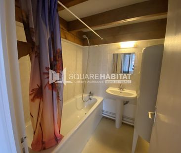 Location Appartement 1 pièce 23m² LILLE 59000 - Photo 3