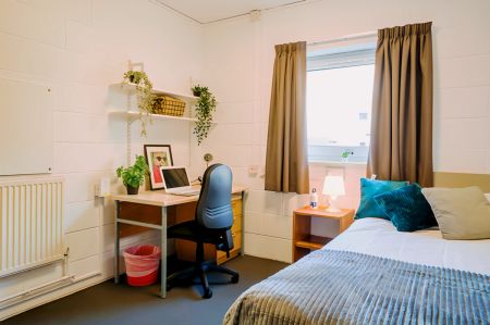 Enhanced Large Shared - Photo 4