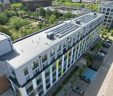 1 bedroom apartment to rent - Photo 5