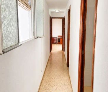Oliva - Photo 3