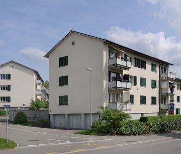 Qualité de vie à la périphérie de Pfäffikon ZH - Photo 1
