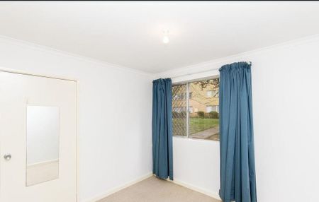 26/41 David Street, O'Connor ACT 2602 - Apartment For Rent | Domain - Photo 4