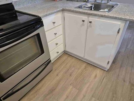 3984 Rue de Bullion apartment — Montréal, QC (3-Bedroom) - 3 Bedroom - Photo 5
