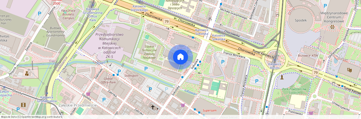 ul. Sokolska 30, Śródmieście, Katowice, śląskie
