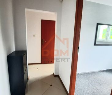 3 pokojowe mieszkanie na wynajem, WYŻYNY - Photo 5