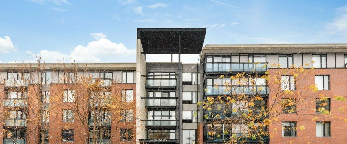 1451 Rue Parthenais, app.303, Ville-Marie (Montréal) - Photo 1