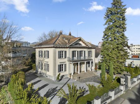 Einzigartiges Liebhaberobjekt - Historische "Villa Aurum" im Herzen von Rapperswil - Photo 5