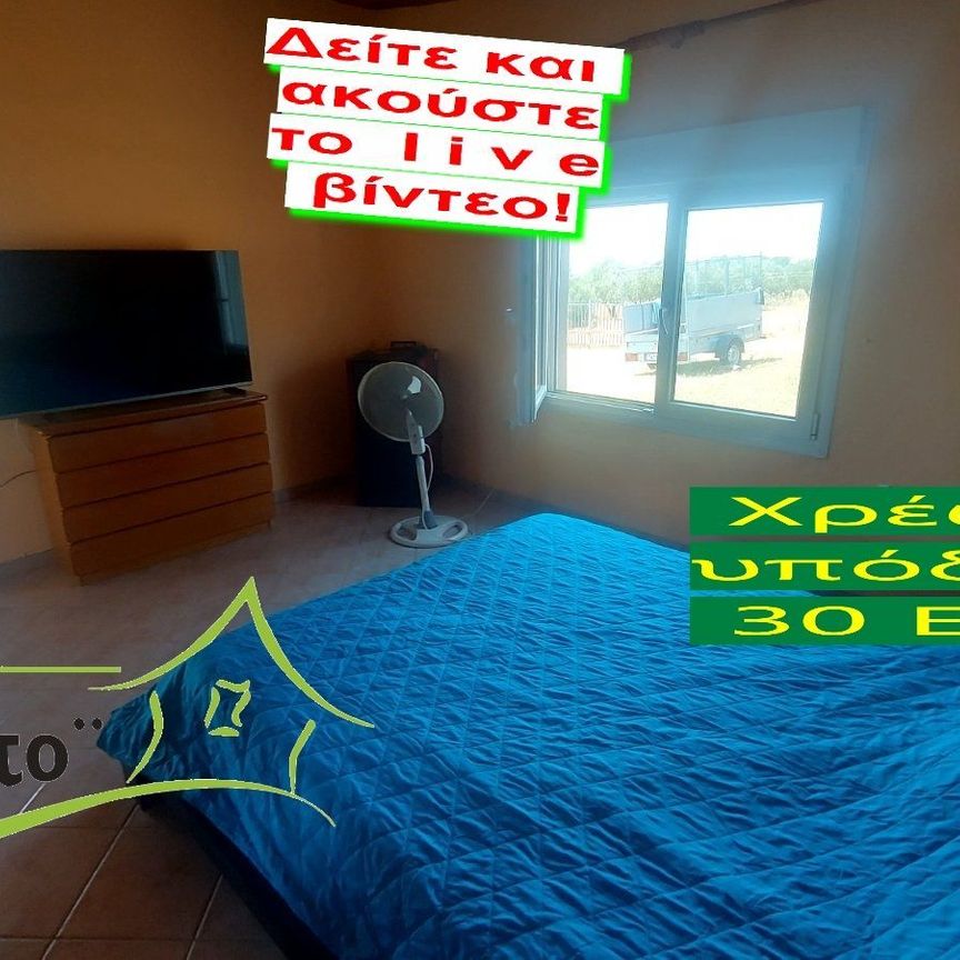 Διαμέρισμα για ενοικίαση Μονοπήγαδο (Βασιλικά) - Photo 1