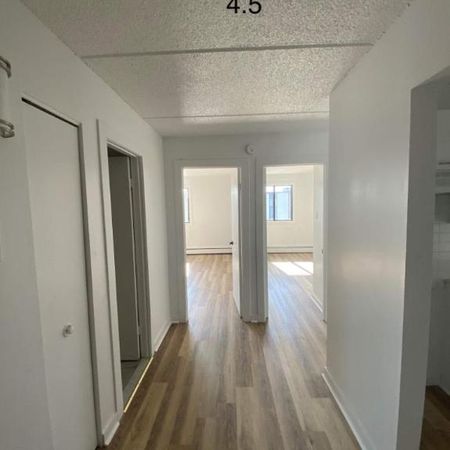 GRAND ET LUMINEUX 4.5 RÉNOVÉ DISPONIBLE 1er AVRIL 2025 - Photo 4