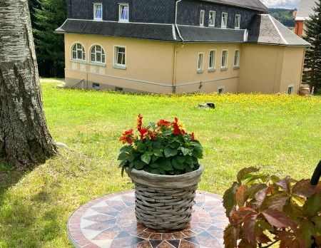 Schicke, möblierte 2-Raum-Wohnung in Cämmerswalde zu vermieten! - Photo 1
