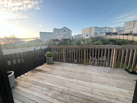 Modern, sunny 3 bedrm, 2.5 bath house w trampoline - Photo 3