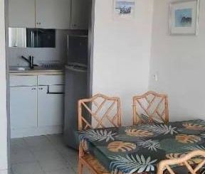 Deux pièces de 34 m² avec terrasse - Exposition plein sud - Photo 3