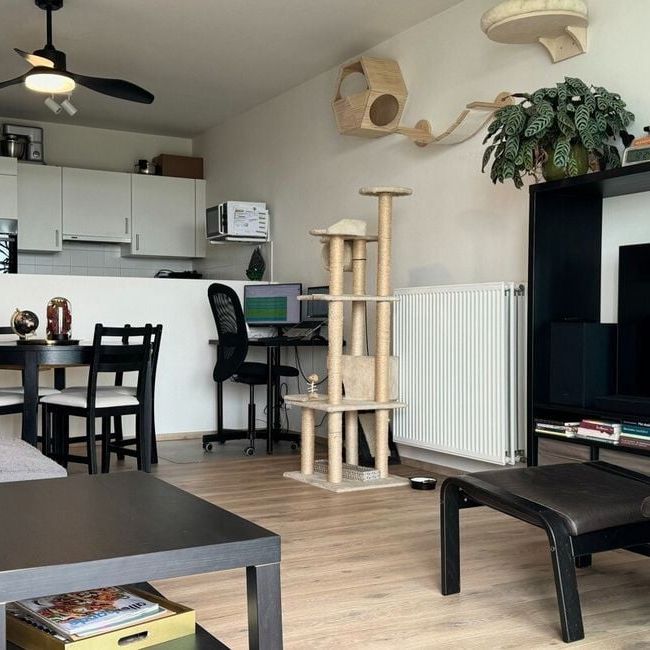 Appartement te huur in Borgerhout voor € 985 met 2 slaapkamers - Foto 1