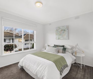 1/29 Barkly Street, Box Hill VIC 3128 - Apartment For Rent | Domain - Photo 1