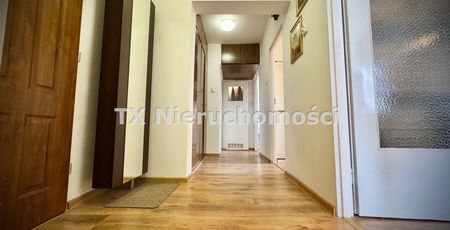 Sikornik - Zdjęcie 2