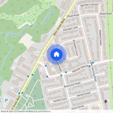 66 Mericourt Road, Hamilton