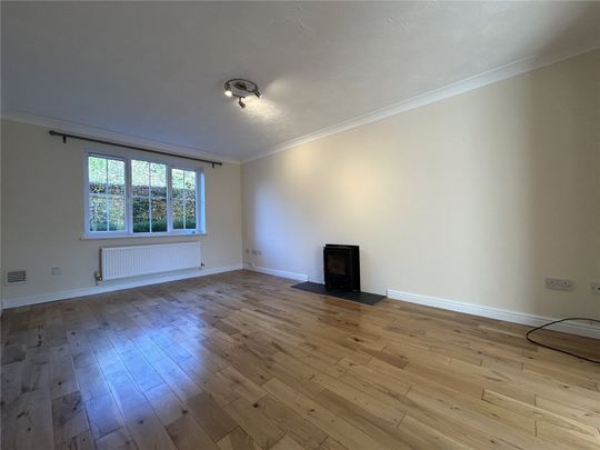 Nordens Meadow, Wiveliscombe, Taunton, Somerset, TA4 - Photo 1