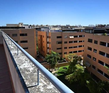 Mairena Del Aljarafe - Photo 5