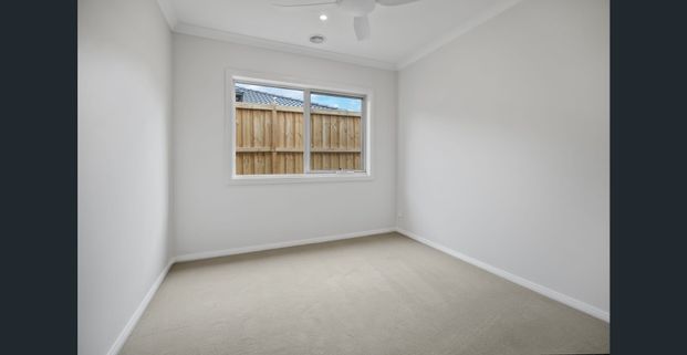 Light Filled 4-Bedroom Home - Photo 1