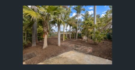 1950's Charm in a Prime Location - Photo 5