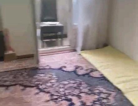 Wohnung zu vermieten - Foto 1