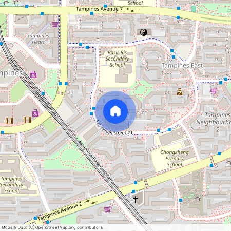 250 Tampines Street 21 (520250), Singapore