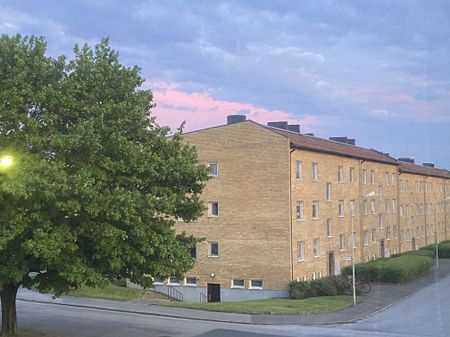 Bergstrands väg, Simrishamn - Photo 2