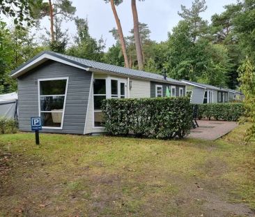 Chalet Fazantlaan, Ermelo - À Louer - Foto 1