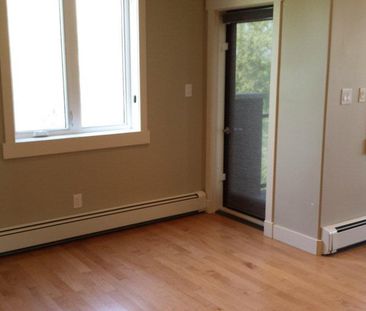 2 Beds & 1 Bath Apartment Style Property In University Area - Photo 6