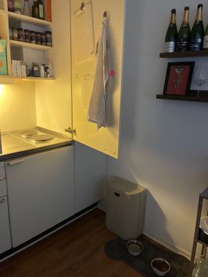 Badhusgatan, Halmstad - Foto 1