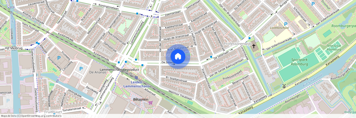 De Sitterlaan 42-A, Professorenwijk-West, 2313TP, Leiden