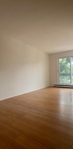Appartement 1 chambre — 1 mois gratuit ! - Photo 1