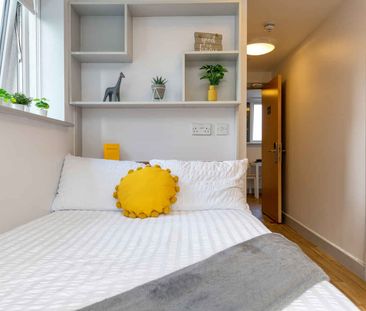 Premium Two Dio - Photo 5