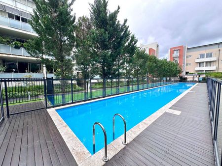 Spacious and Modern 1 Bedroom Apartment - Photo 2