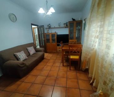 La Línea De La Concepción - Photo 2