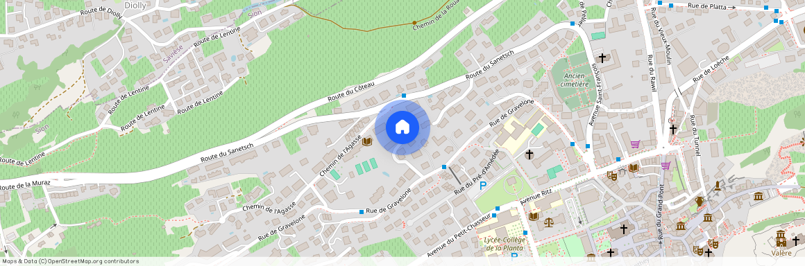 Route de Gravelone 50C, 1950 Sion