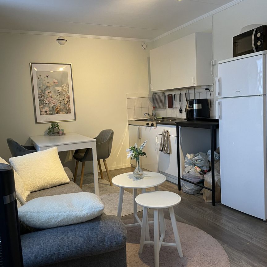 Liten 1:a Centralt - Photo 1