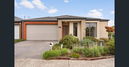 Low Maintenance Delight - Photo 5