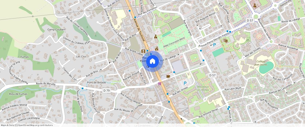 CASTANET TOLOSAN (31320)