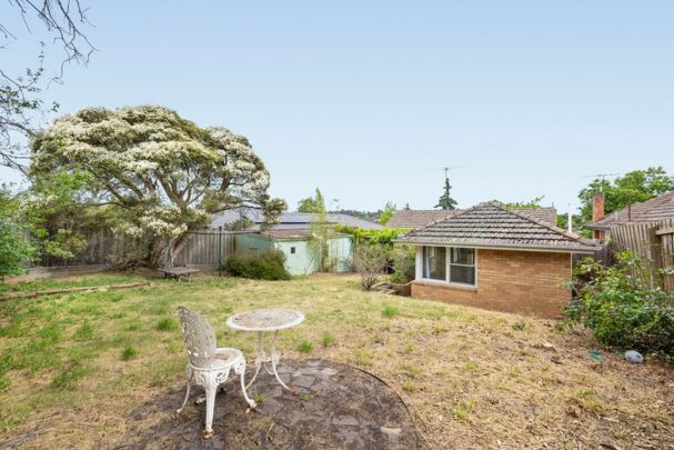 Family Living in the Balwyn High School Zone - Photo 1