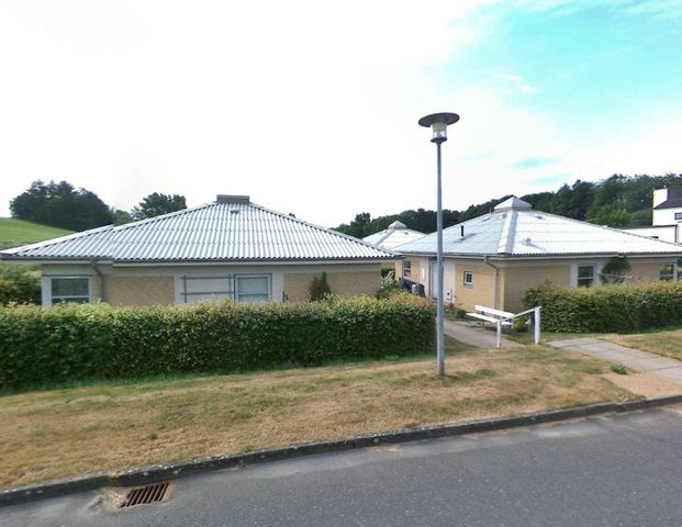 Fælledparken - Photo 1