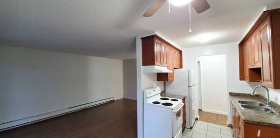 New Westminster 2 bedroom + Den apartment available on February 15th - Photo 2