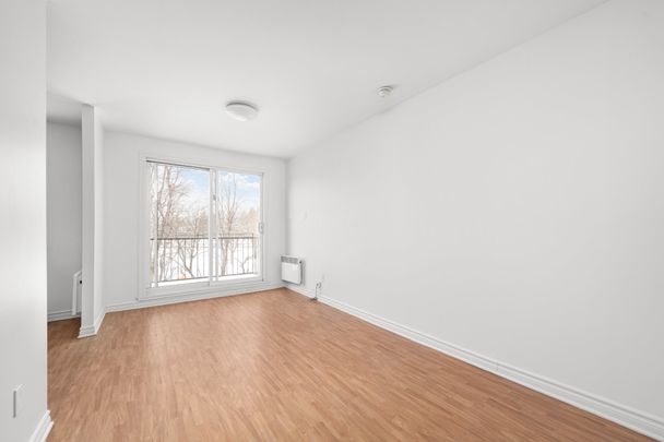 927 Rue Dubuisson, #5 - Photo 1