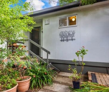 Spring Gully - Photo 5