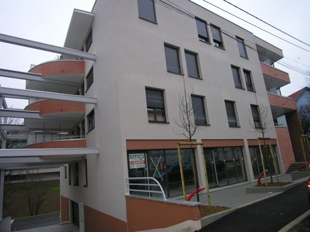 T1 bis quartier Saint-Claude - Photo 2