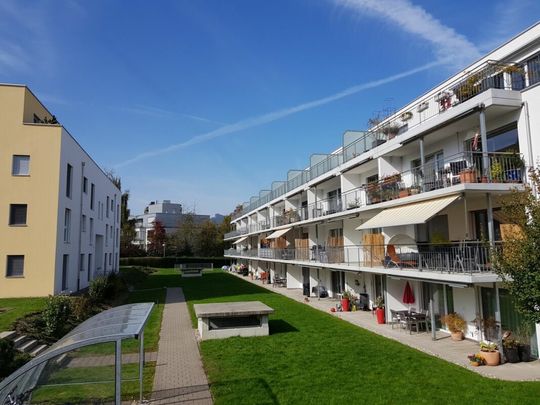 Olten / 3.5-room ground floor apartment C2 - Foto 1