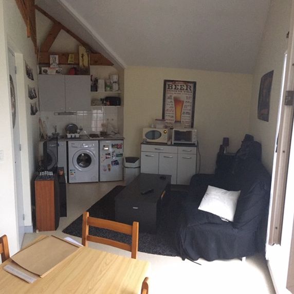 Louer duplex 1 pièce de 30 m² à Rennes (35200) - Photo 1