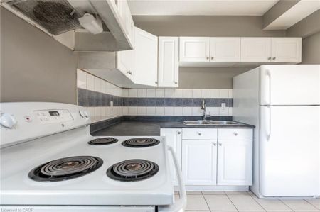 For Lease - 39 Connaught Avenue Unit# Main, Hamilton, Ontario - Photo 3