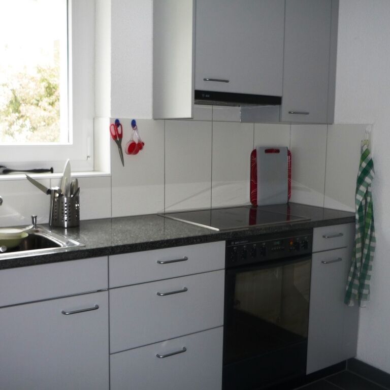 2- ZWG on the 1st floor, for rent at 8047 Zurich - Foto 1